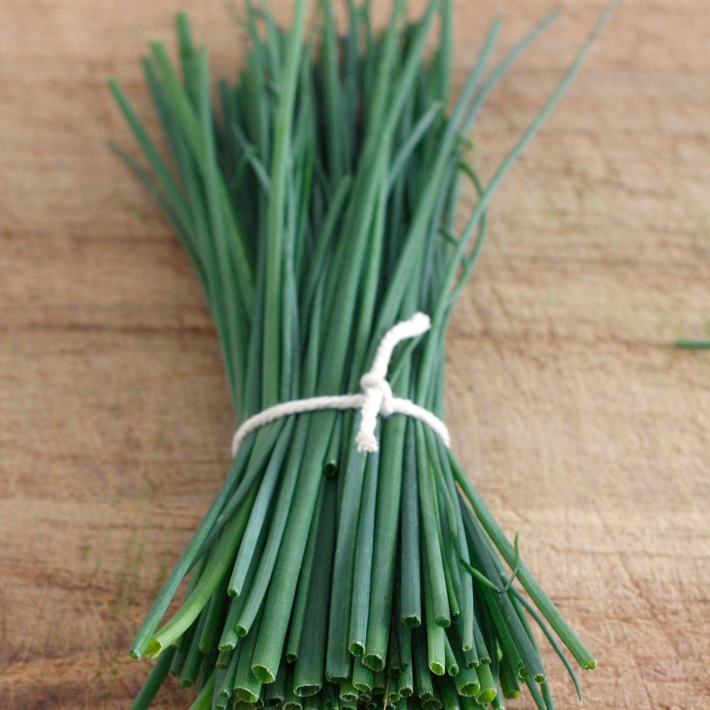 Seeds Chive Fine Leaf