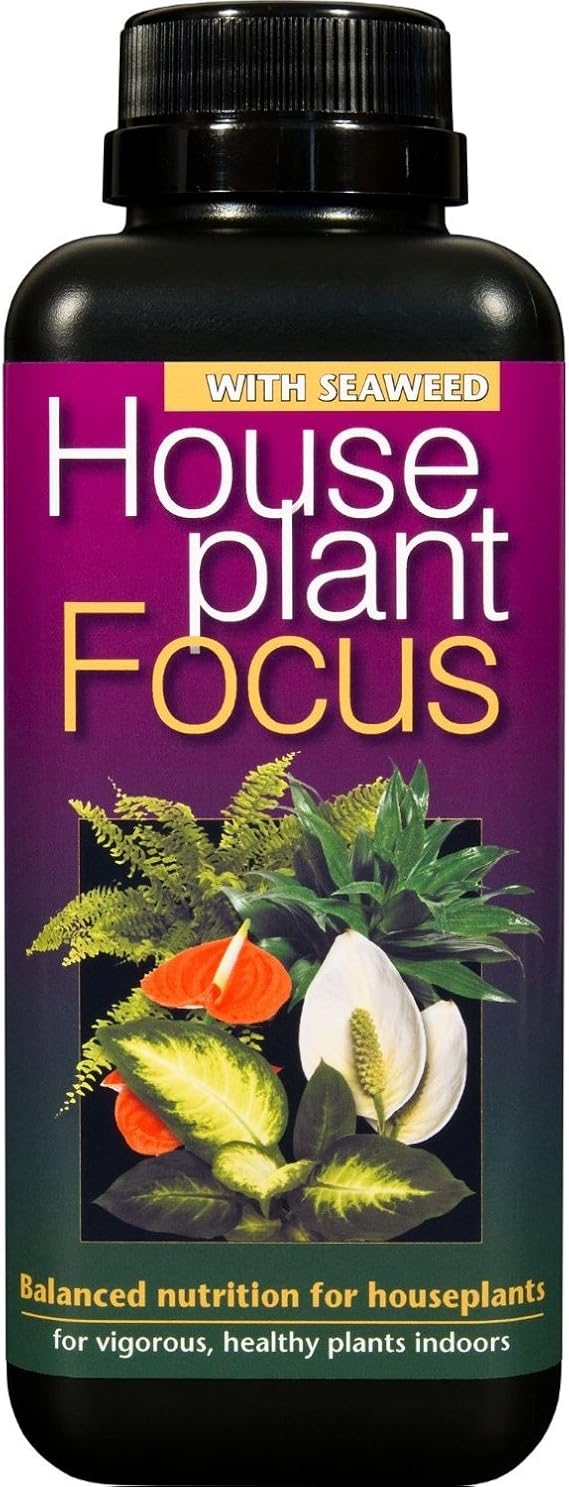 Houseplant Focus