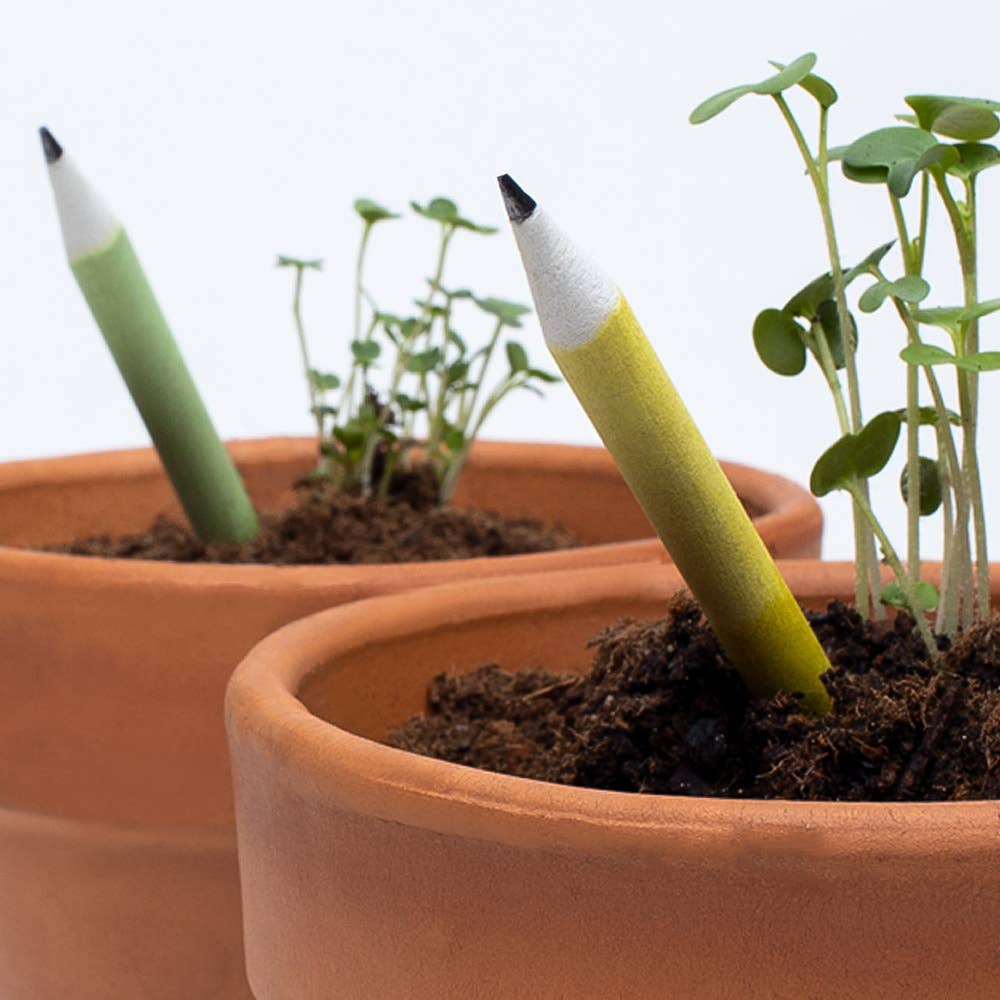 Basil planter pencil