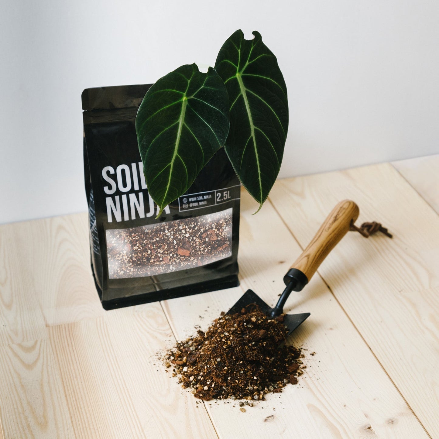 Substrate Soil Ninja 'Alocasia Blend'