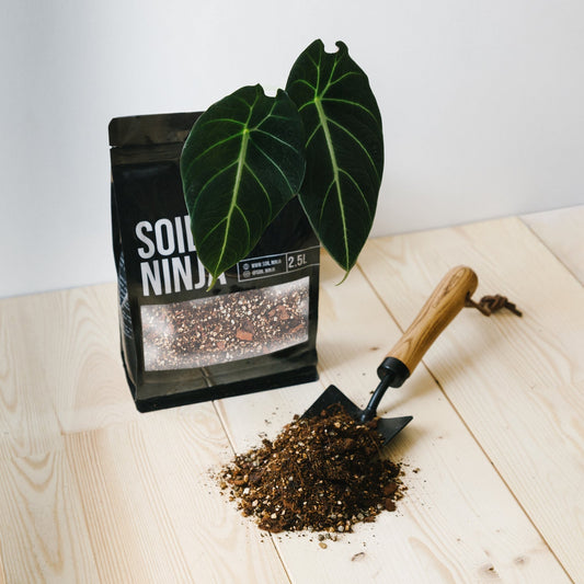 Substrate Soil Ninja 'Alocasia Blend'