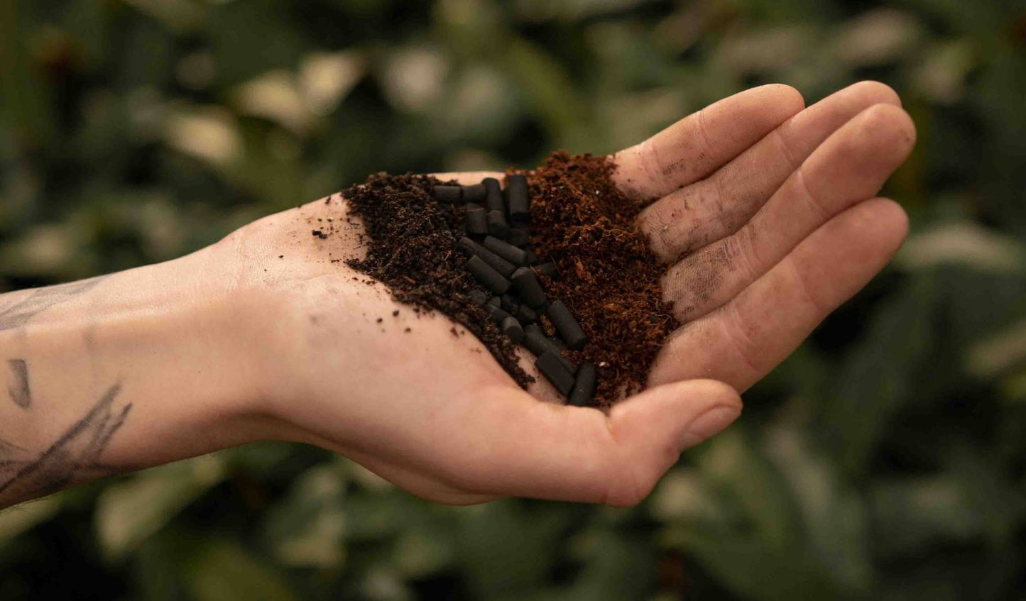 Syba Soil Universal Houseplant Mix