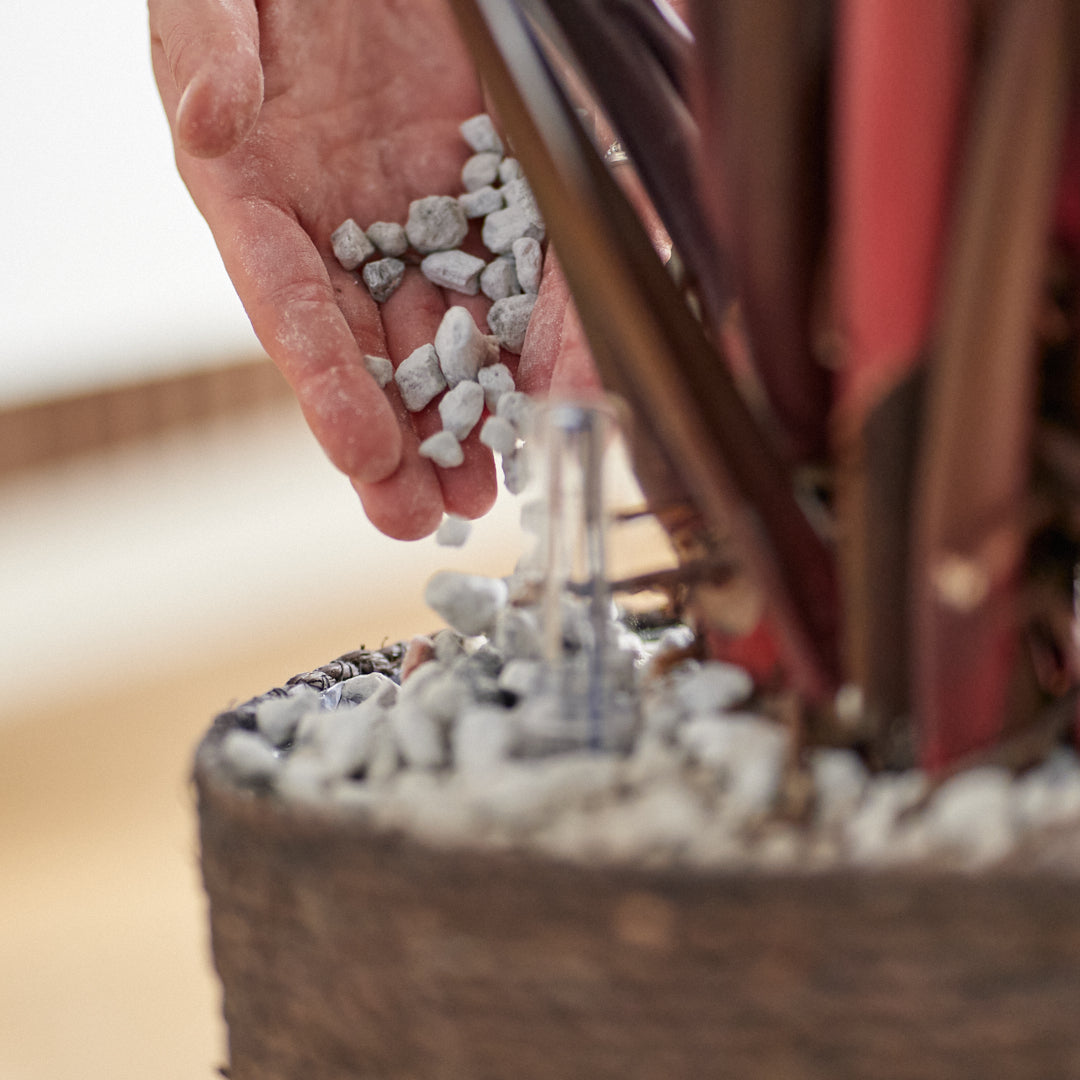 Hydro - Beautanic Volcanic Rock