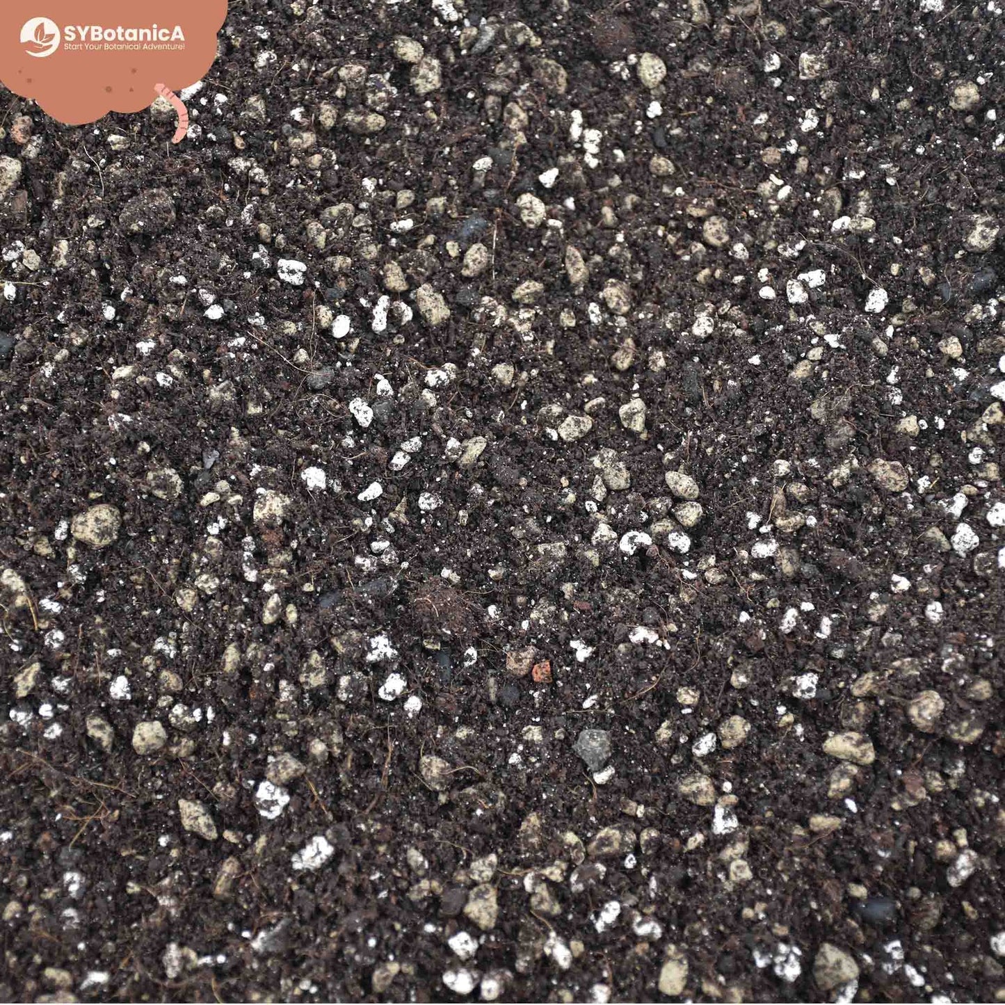 Syba Soil Bonsai Mix