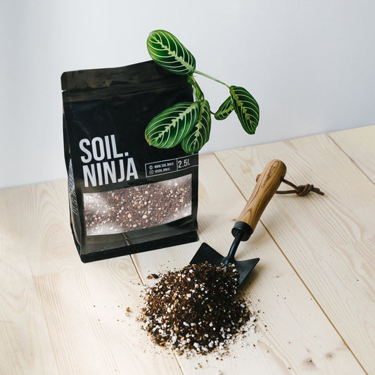 Substrate Soil Ninja 'Calathea & Maranta"
