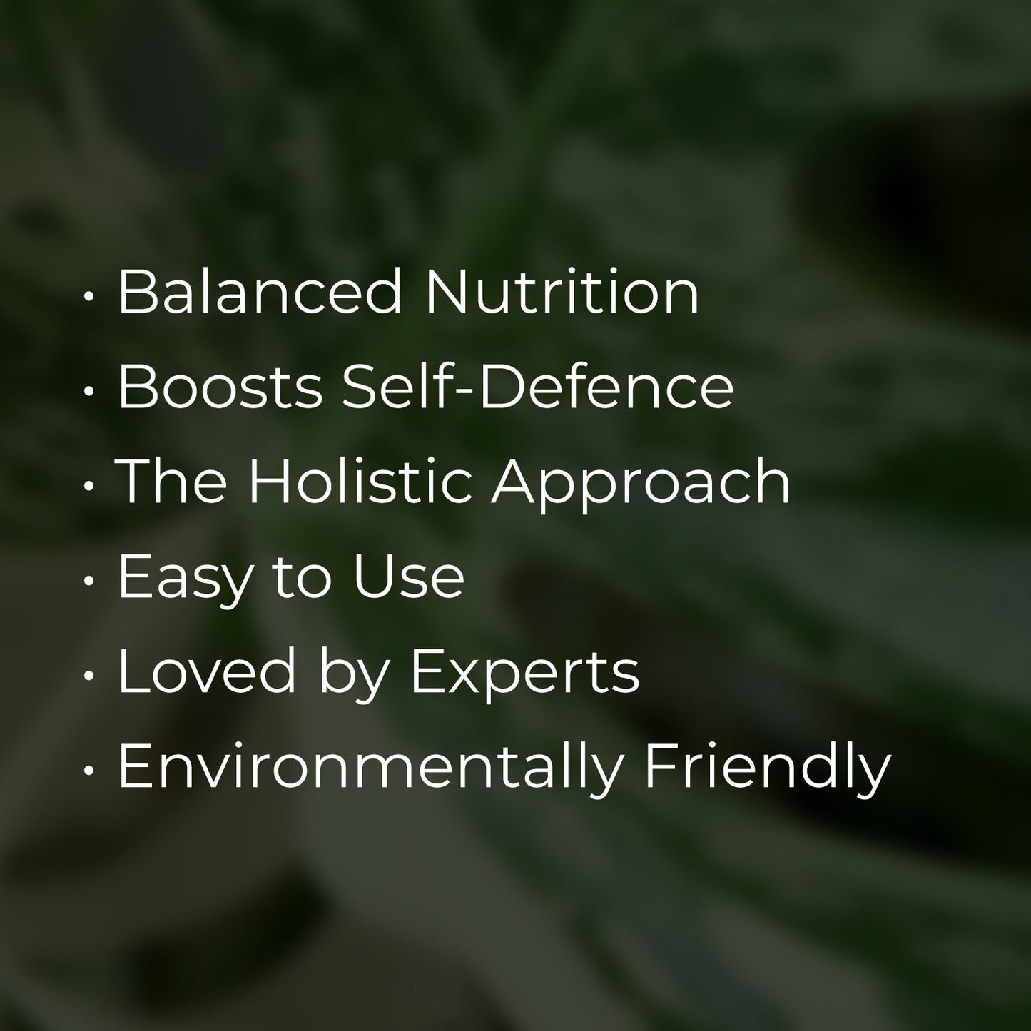 Plant Food Liquid Gold Leaf
