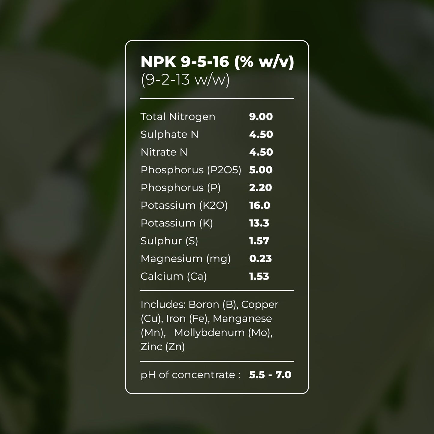 Plant Food Liquid Gold Leaf
