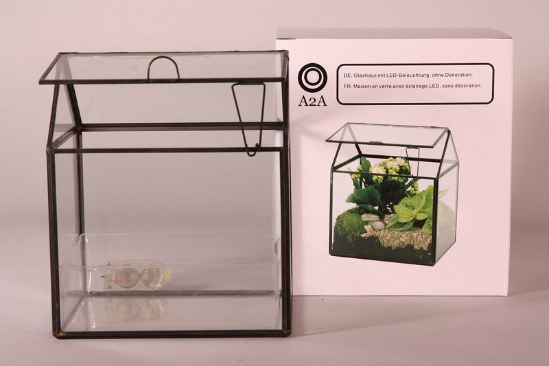 Terrarium Glasshouse ledlight in showbox