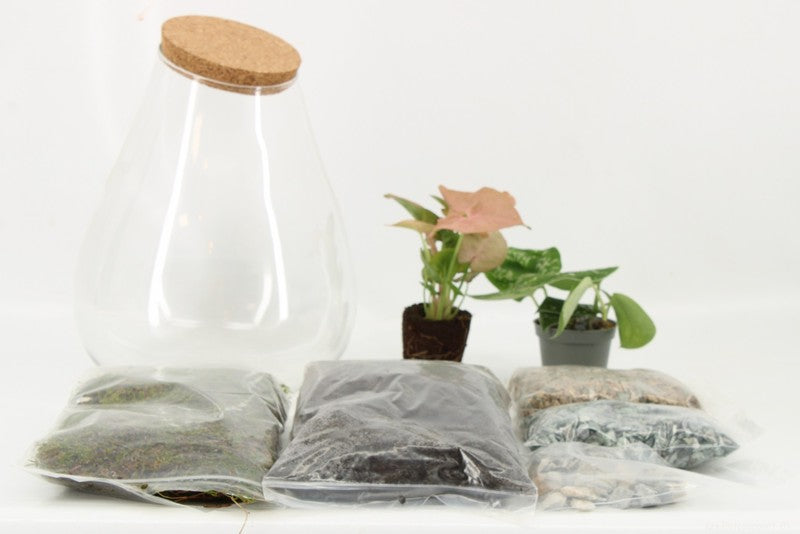 Terrarium Kit DIY 50870