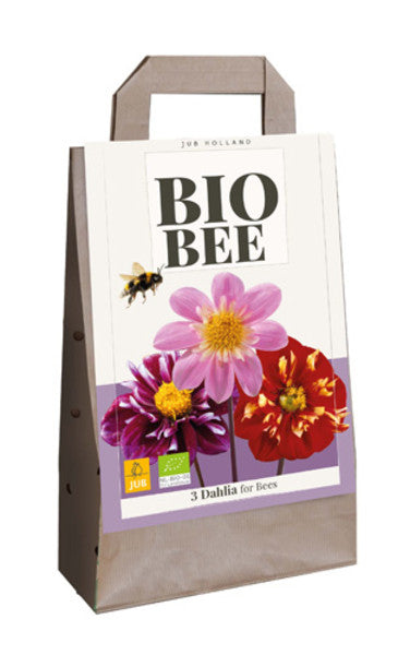 BAG BIO BEE DAHLIAS