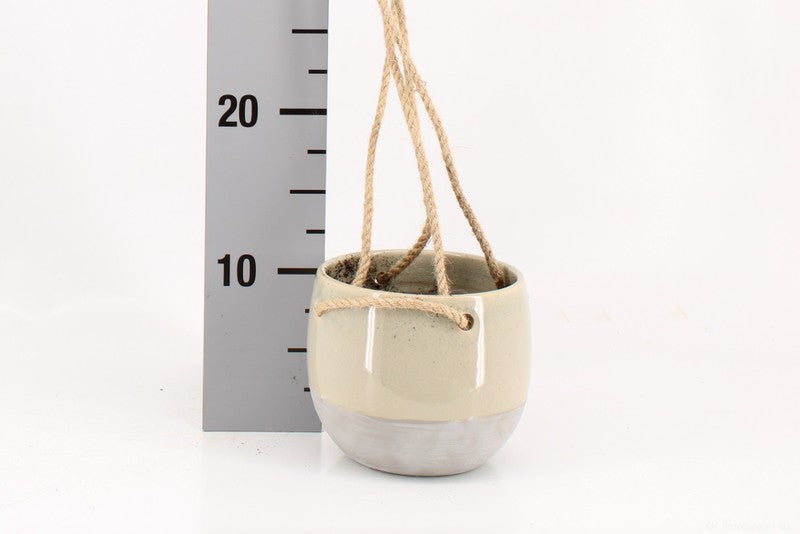 Resa Hanging Pot