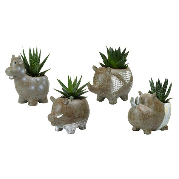 Succulents mix + ceramic Grazers