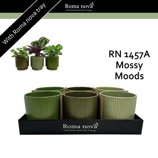 Ceramic Mossy Moods