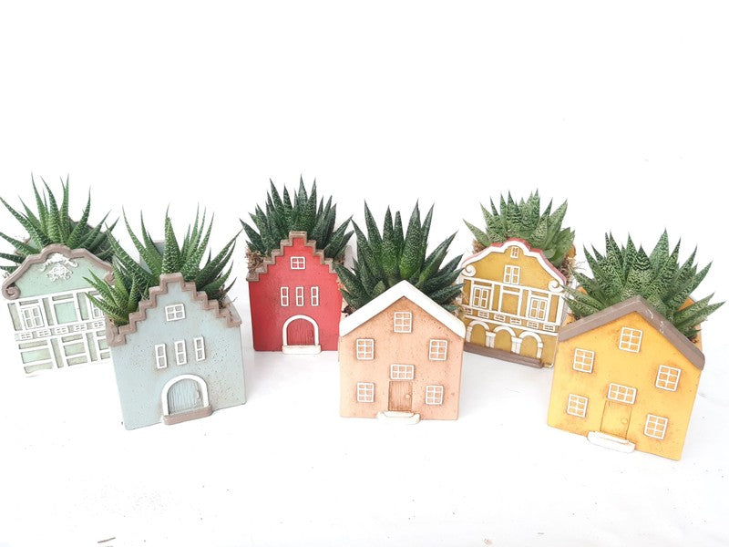 Compo Casa Scandinavian Medium