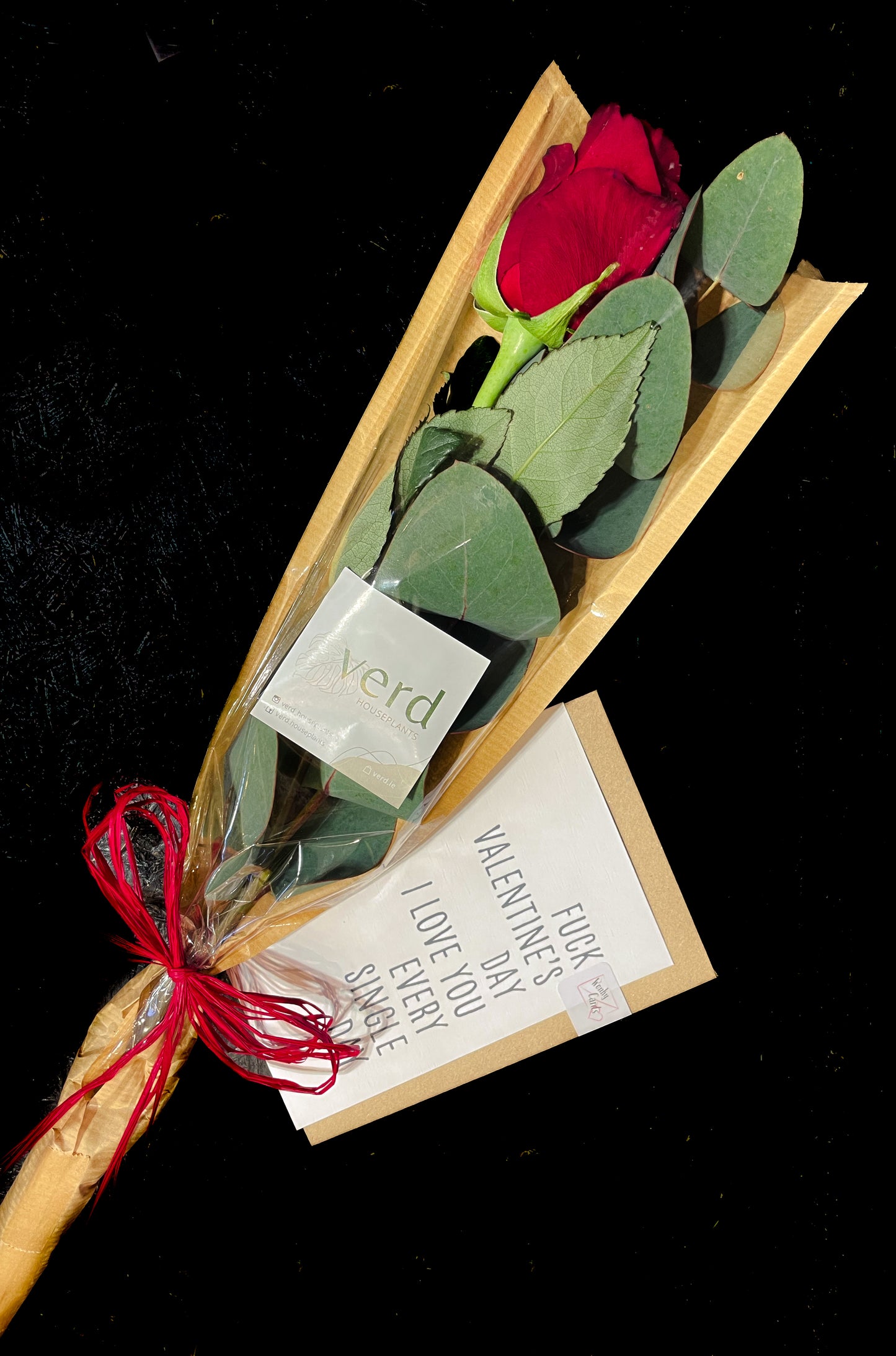 Valentines - Single Red Rose XL