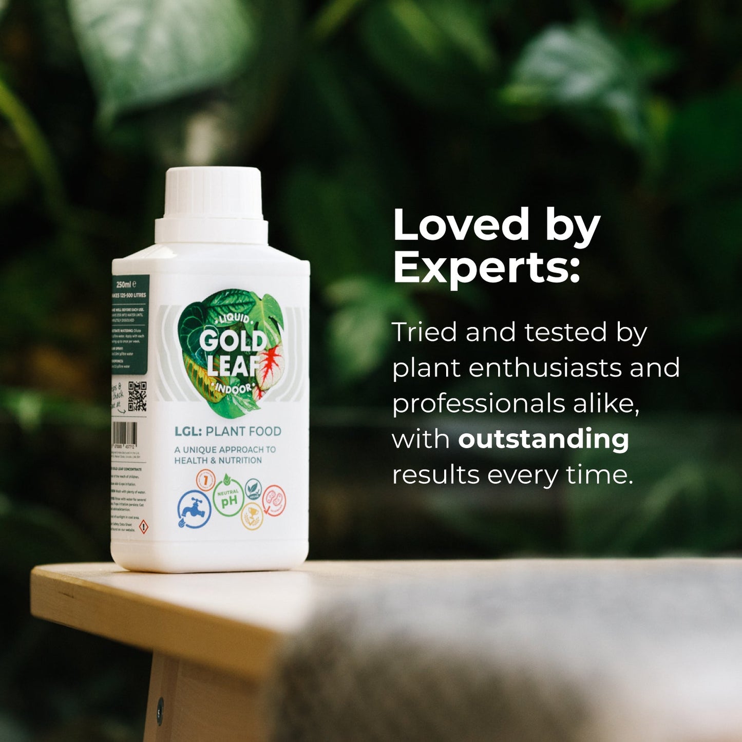 Plant Food Liquid Gold Leaf