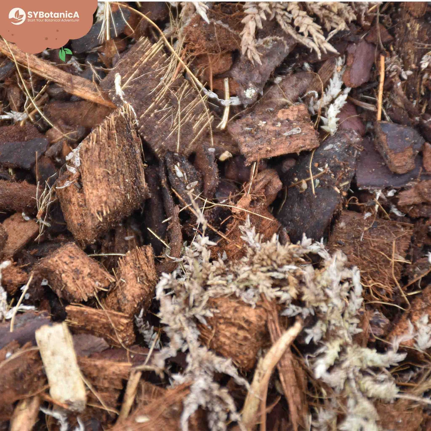 Syba Soil Orchid Mix