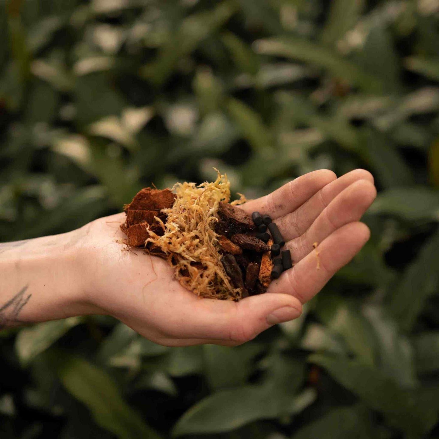 Syba Soil Orchid Mix