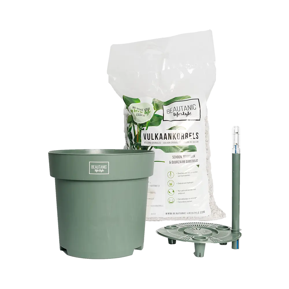 Pot for Hydro - Beautanic Hydrokit