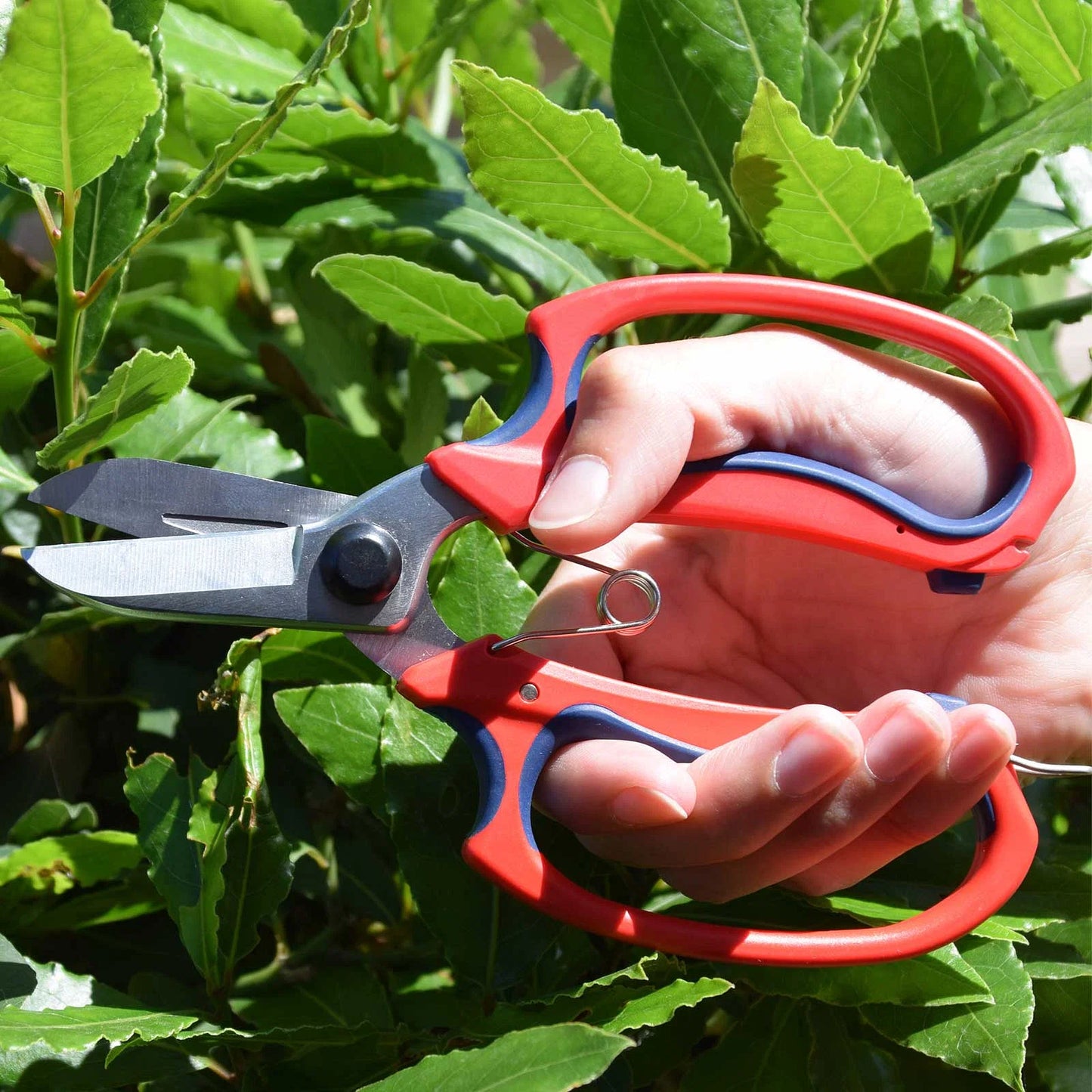 Spear & Jackson Razorsharp Comfort Garden Scissors