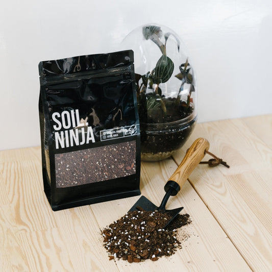 Substrate Soil Ninja 'Terrarium Mix'