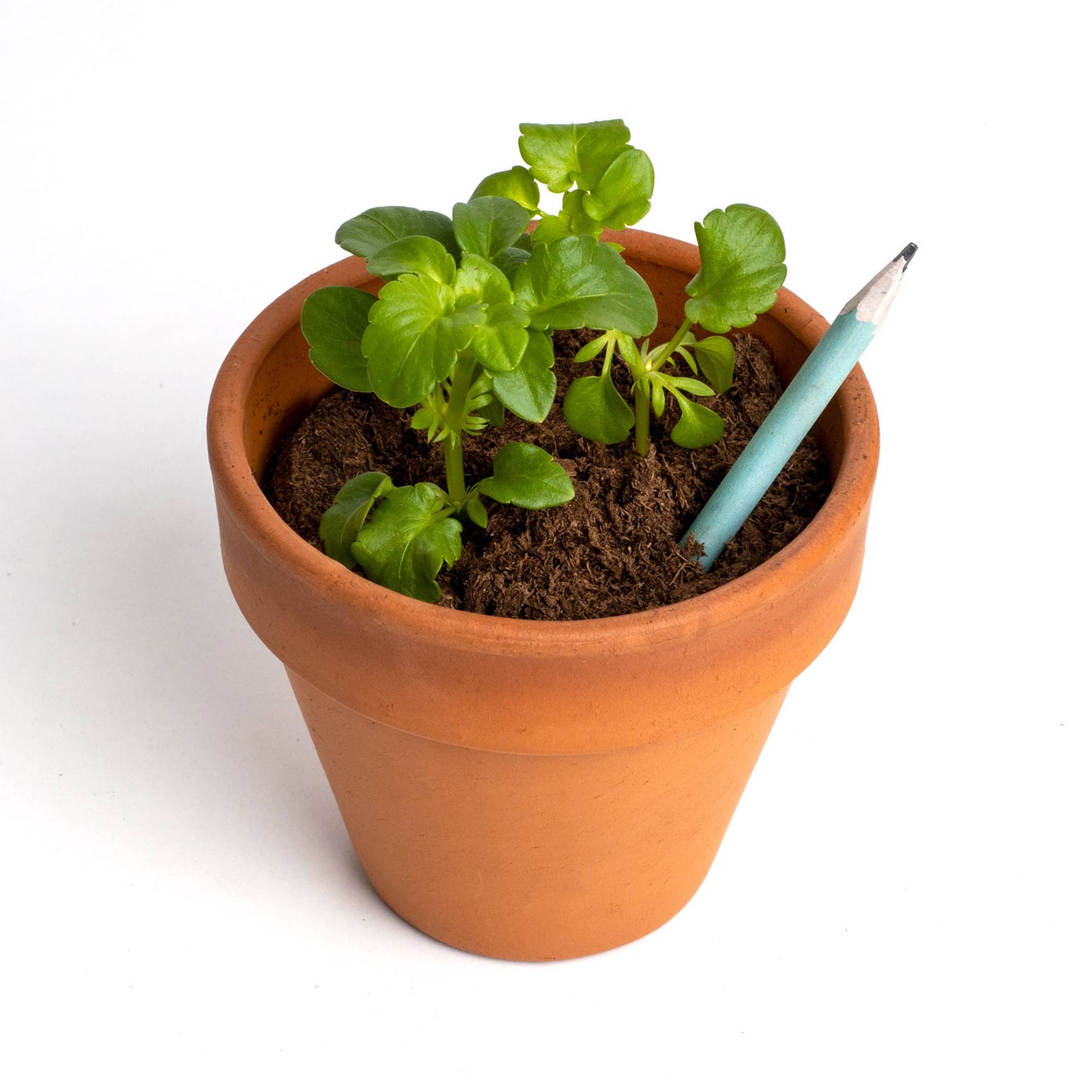 Flower planter pen