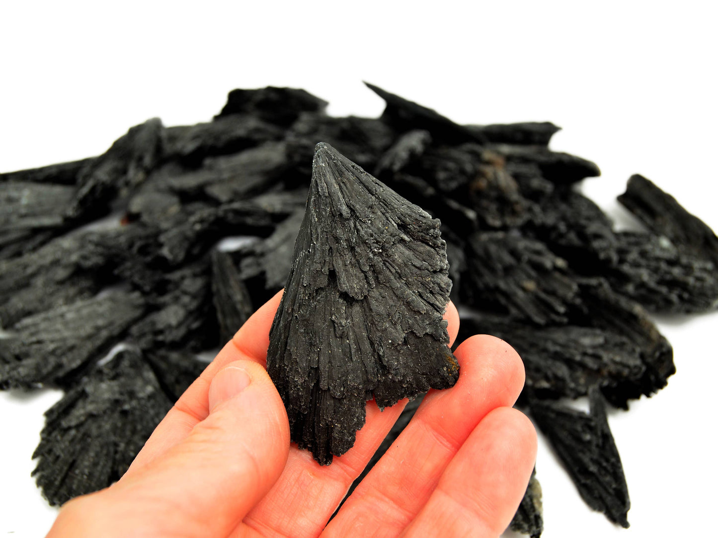 Raw Black Kyanite Witch's Broom (20g - 70g)