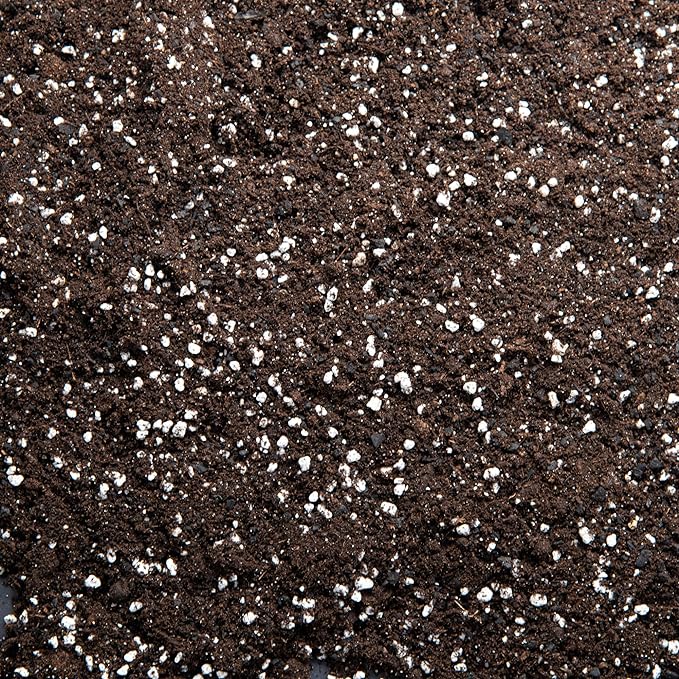 Regular Potting Soil