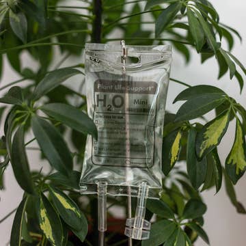 Plant Life Support Self-Waterer