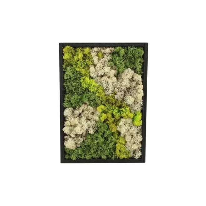 Moss Frame Art - NO CARE