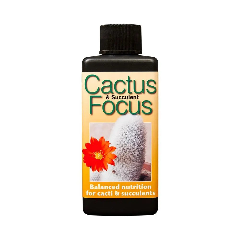 Cactus & Succulents Focus 100ml