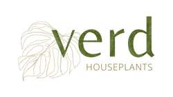 Verd Houseplants
