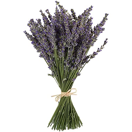 Lavender Dried Bunch