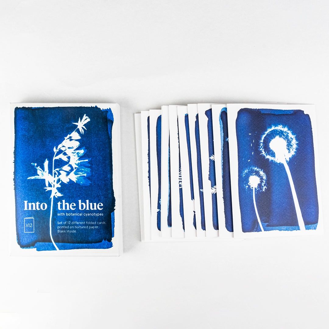 Botanical CianotypenGreeting Cards