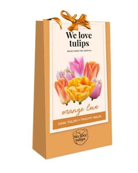 Tulip Bulbs - Flower Bag Orange Love