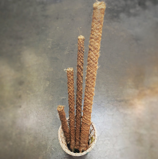 Moss Pole