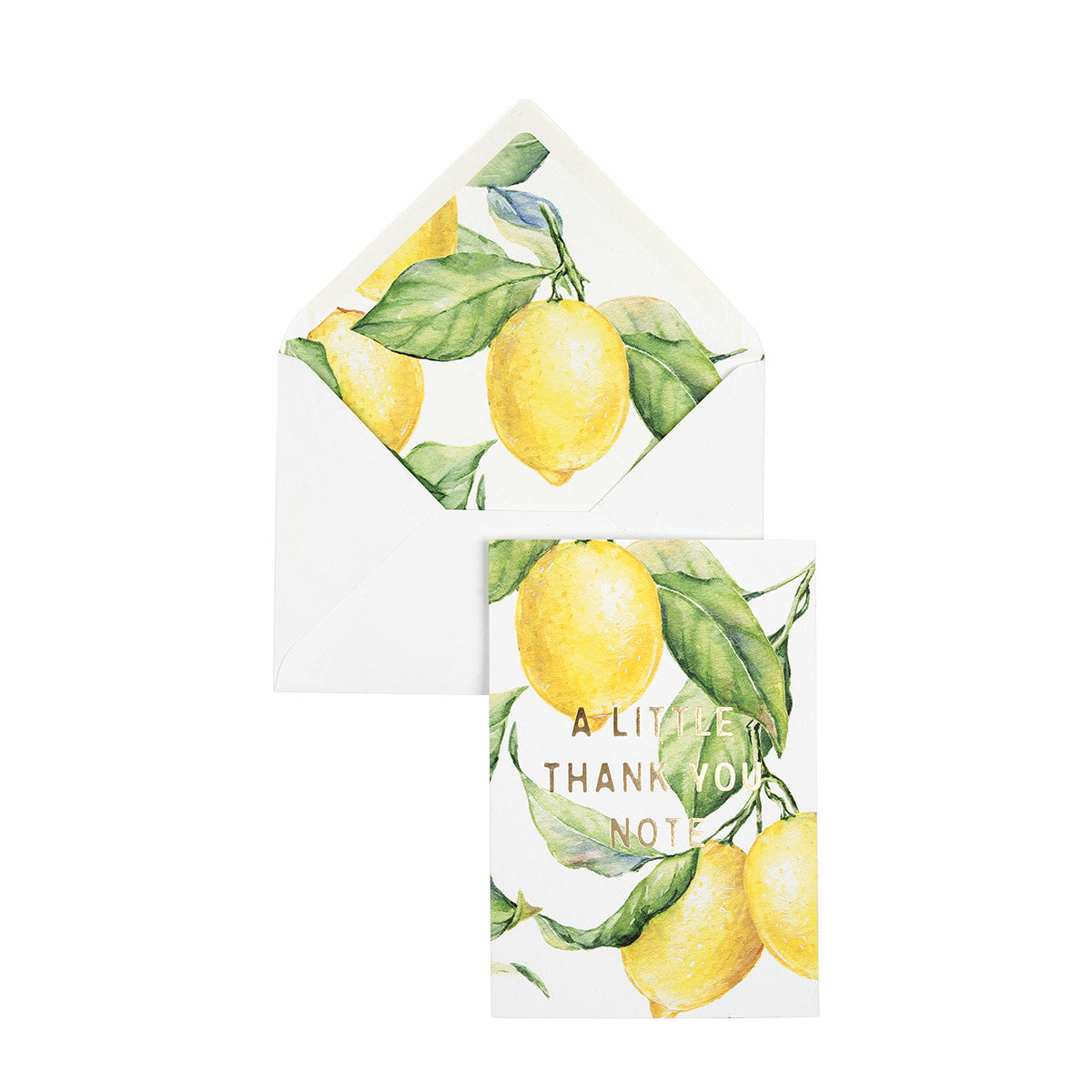Greeting Card Creative Lab Amsterdam