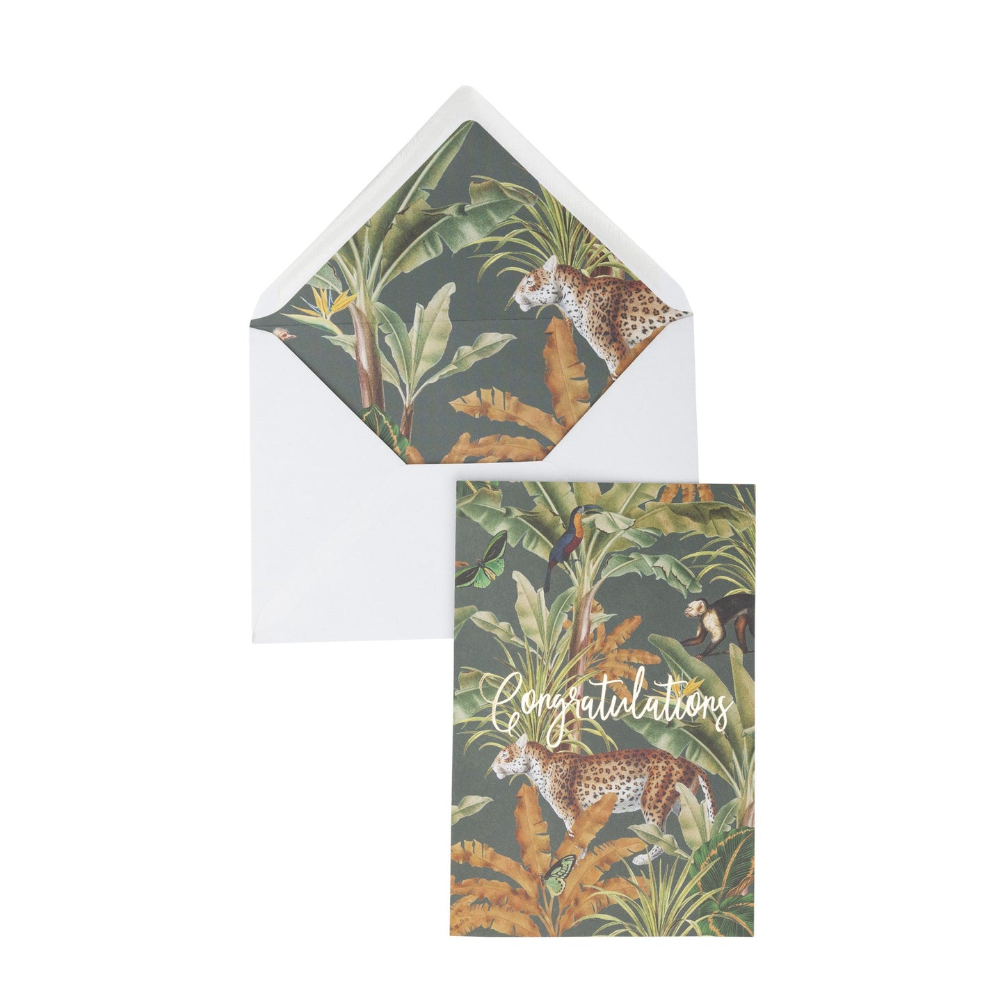 Greeting Card Creative Lab Amsterdam