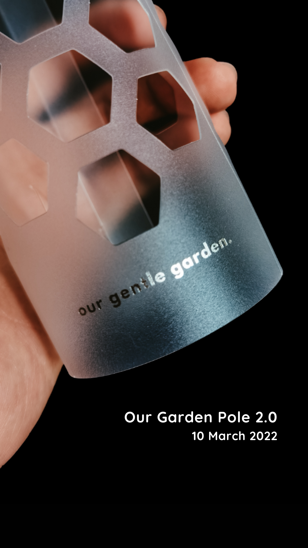 Moss Pole - Our Gentle Garden