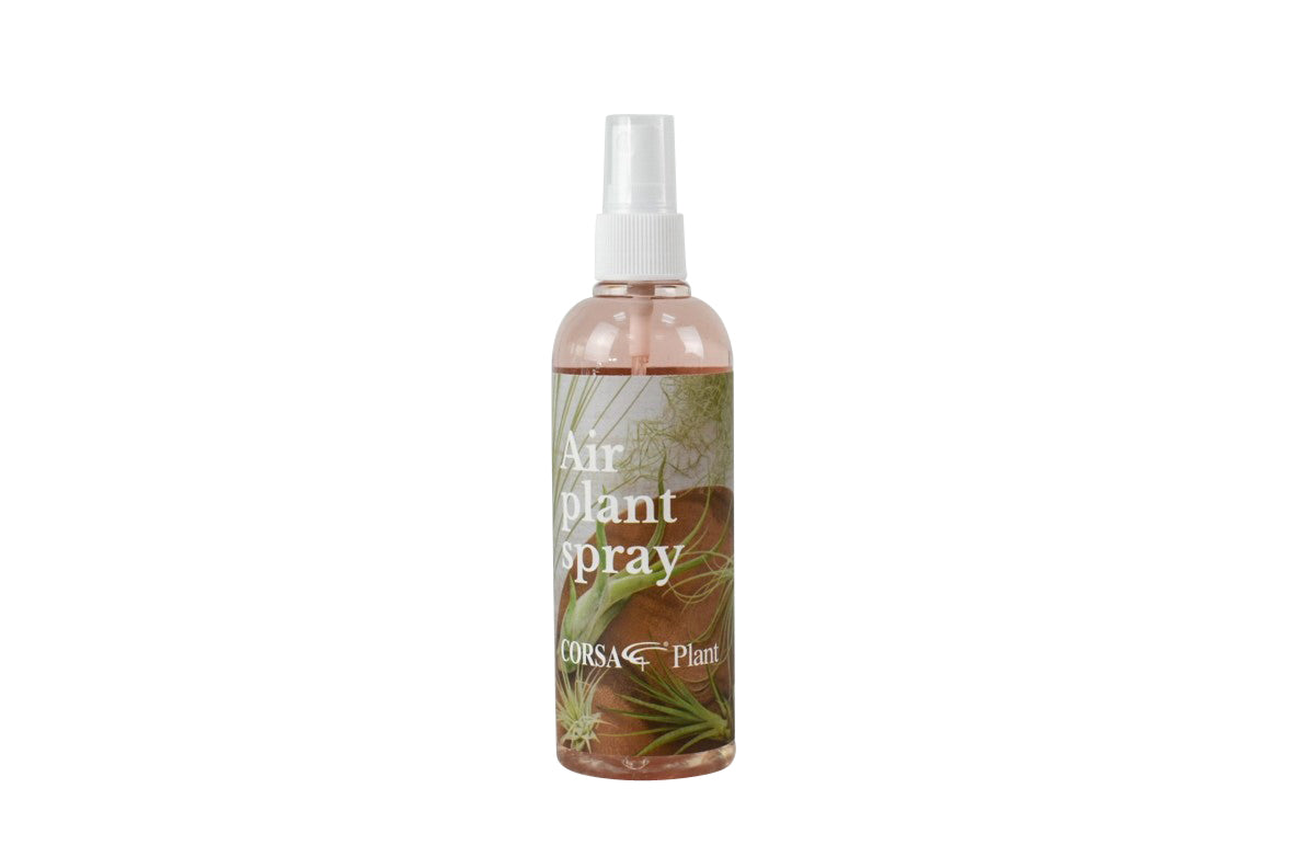 Air Plant Care Spray