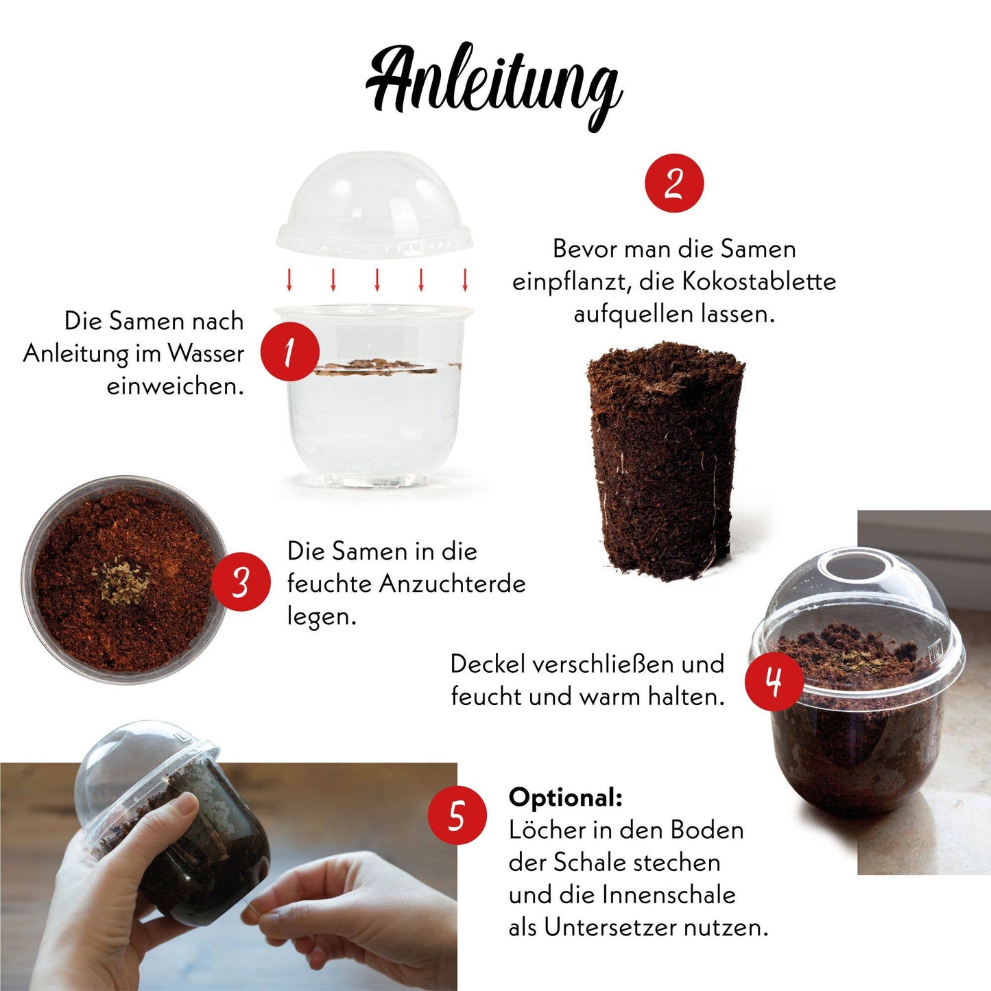 Grow2Go Bonsai Starter Kit Growing Set (Gift Idea)