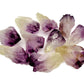 Extra Quality Rough Amethyst Points - Single