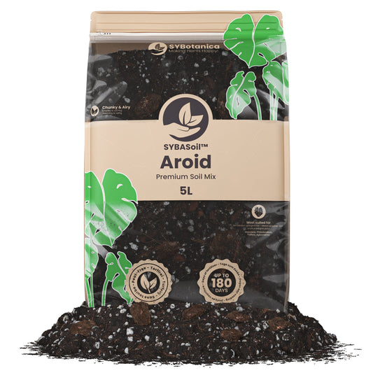 Sybotanica Aroid Mix (Monstera e.t.c.)