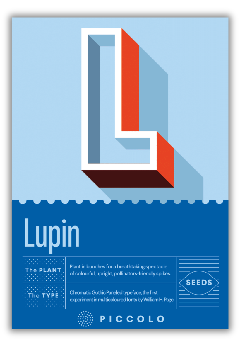 Flower Seeds Botanical Alphabet Collection