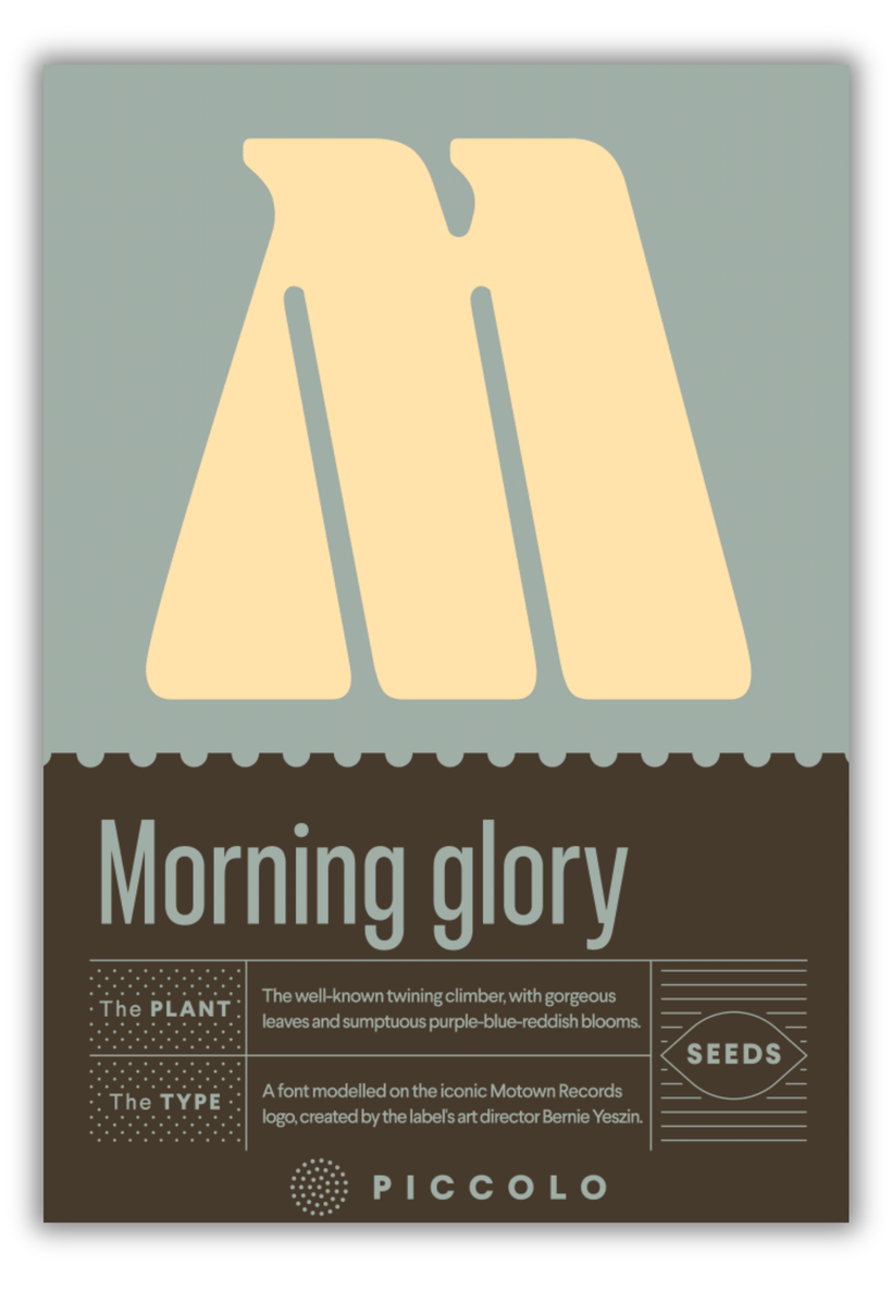 Flower Seeds Botanical Alphabet Collection