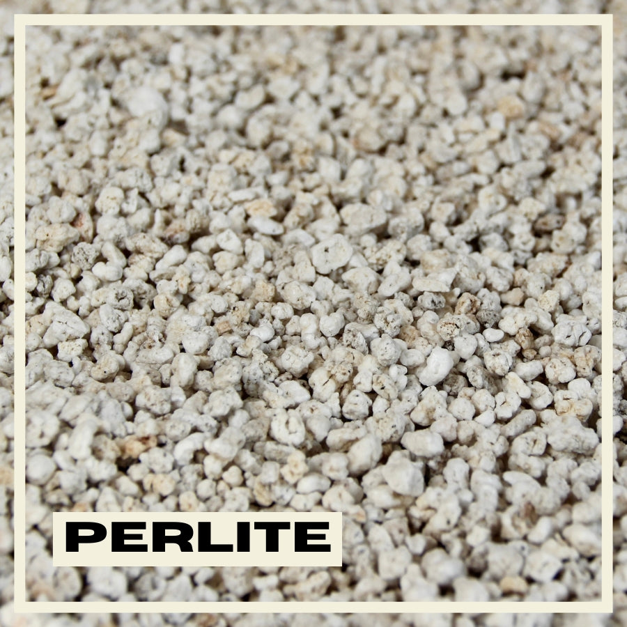 Perlite PlantNest 3L