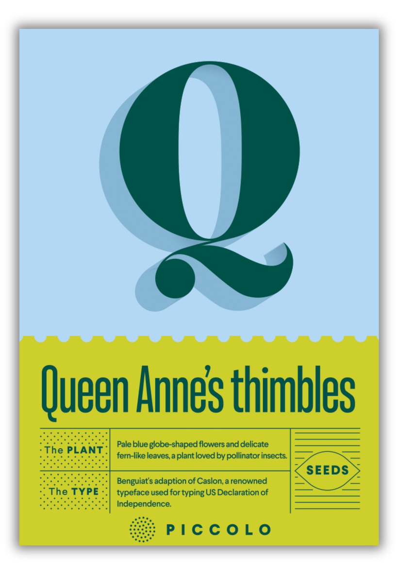 Flower Seeds Botanical Alphabet Collection