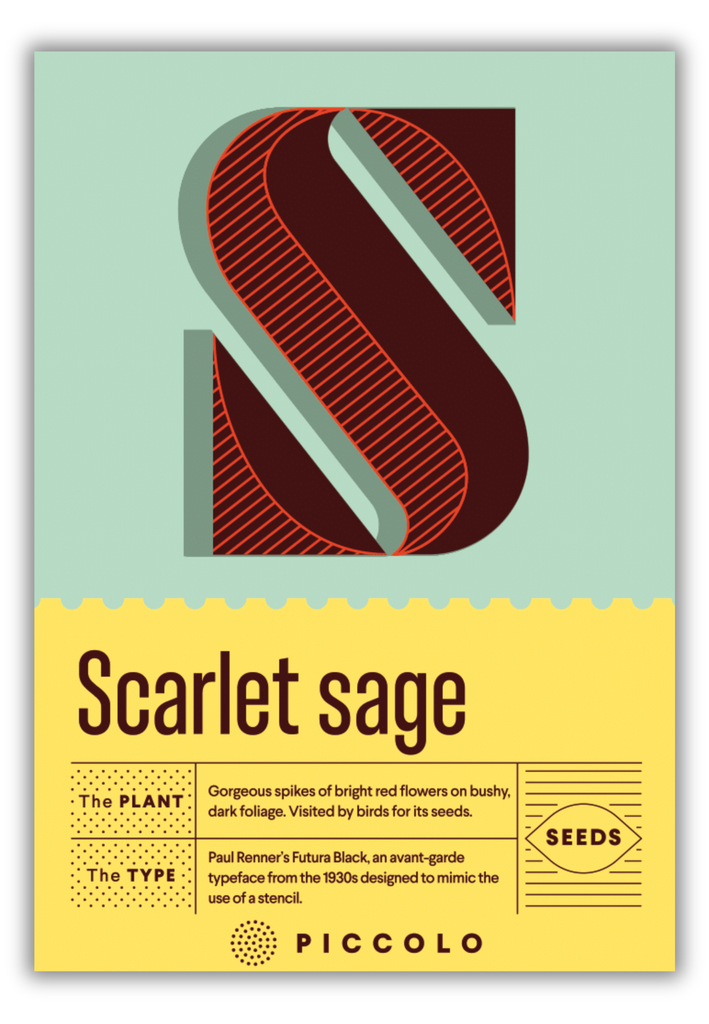 Flower Seeds Botanical Alphabet Collection