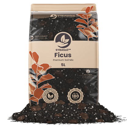 Sybotanica Ficus Mix