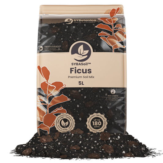 Sybotanica Ficus Mix
